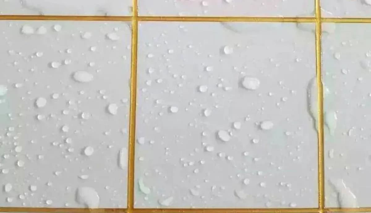 Banner Background